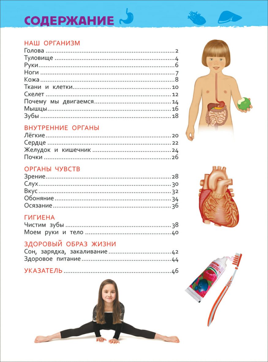 Книга Энциклопедия Тело человека содержание