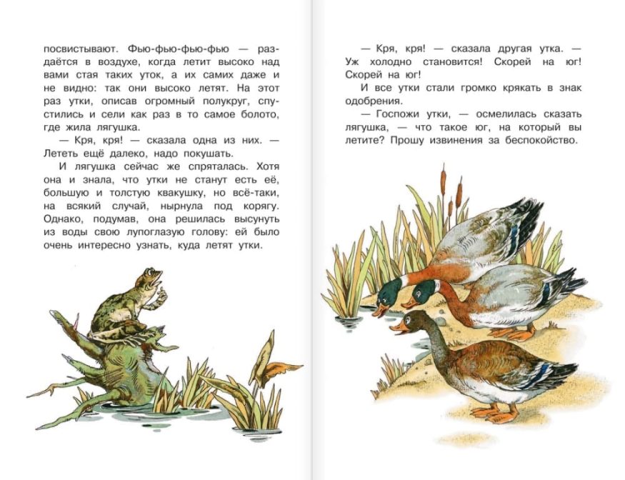 libro-in-russo-lyagushka-puteshestvennitsa-i-drugie-skazki-o-zhivotnyh-p4