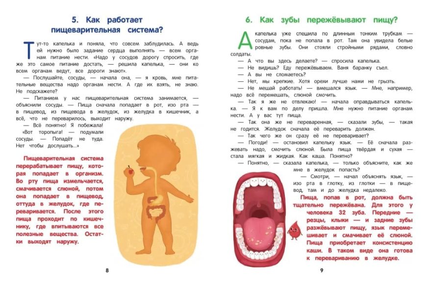 libro-in-russo-kak-ustroen-chelovek-enciklopediya-dlya-malyshej-v-skazkah-p2