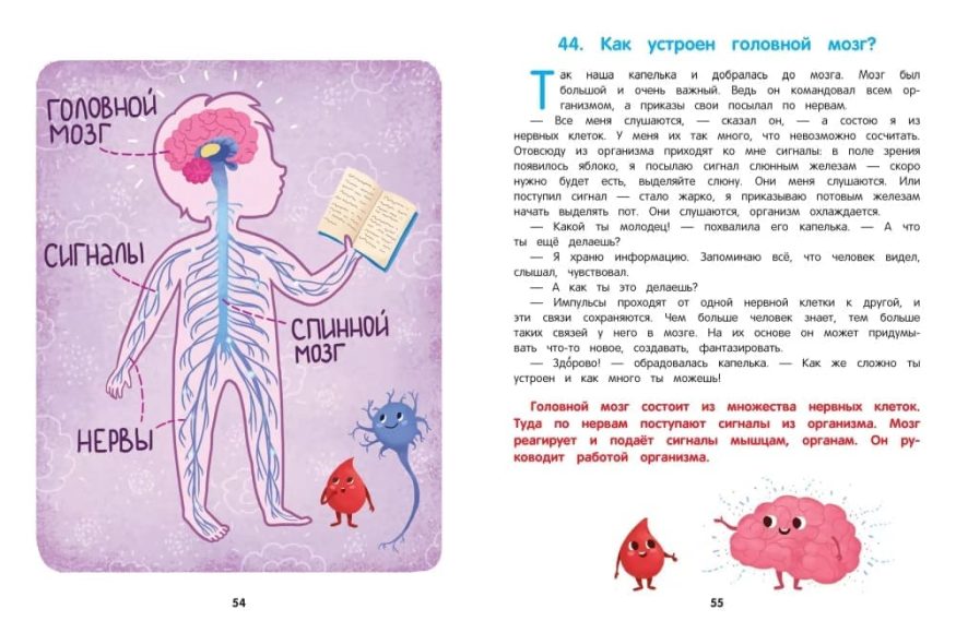 libro-in-russo-kak-ustroen-chelovek-enciklopediya-dlya-malyshej-v-skazkah-p3