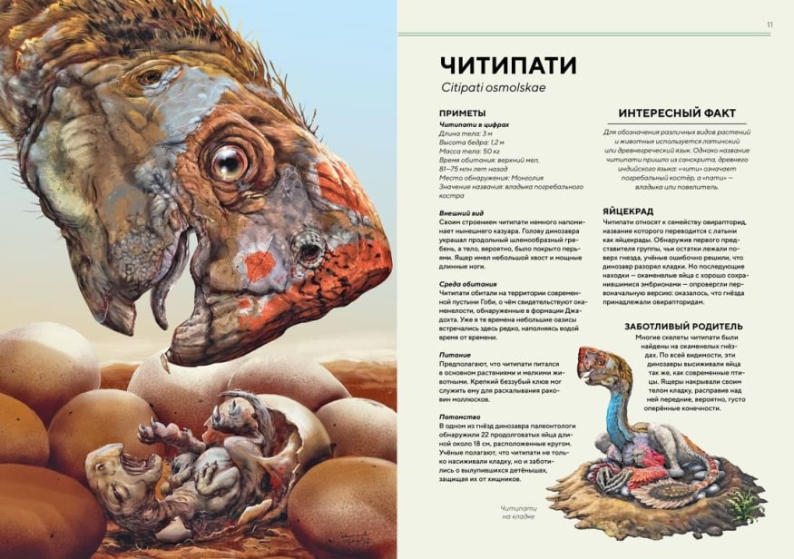 libro-in-russo-dinozavry-v-naturalnuyu-velichinu-p2