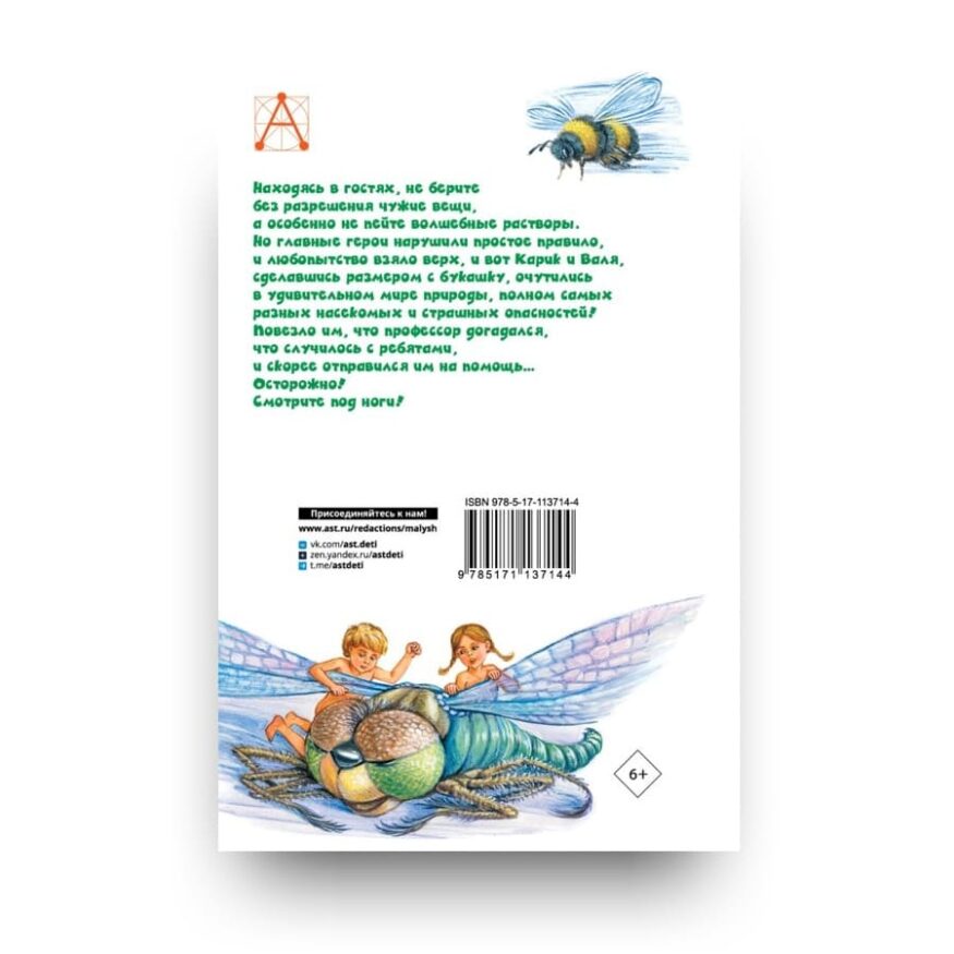 libro-in-russo-neobyknovennye-priklyucheniya-karika-i-vali-as00527-cover2