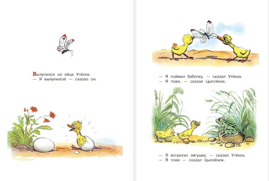 Разворот 1 книги "Цыплёнок и Утёнок" - Владимир Сутеев
